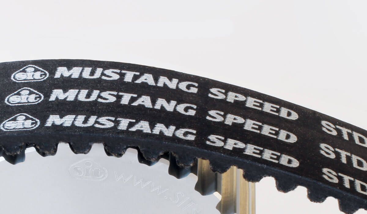 Pulleys and Belts SIT MUSTANG SPEED STD